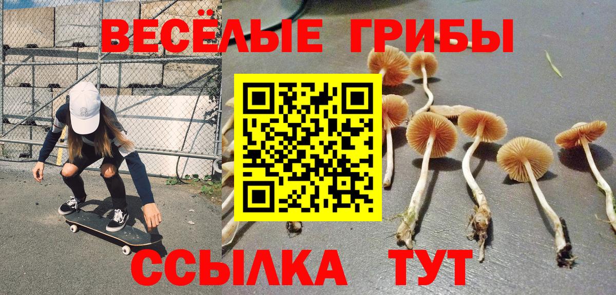 Псилоцибиновые грибы Magic Shrooms Отрадное