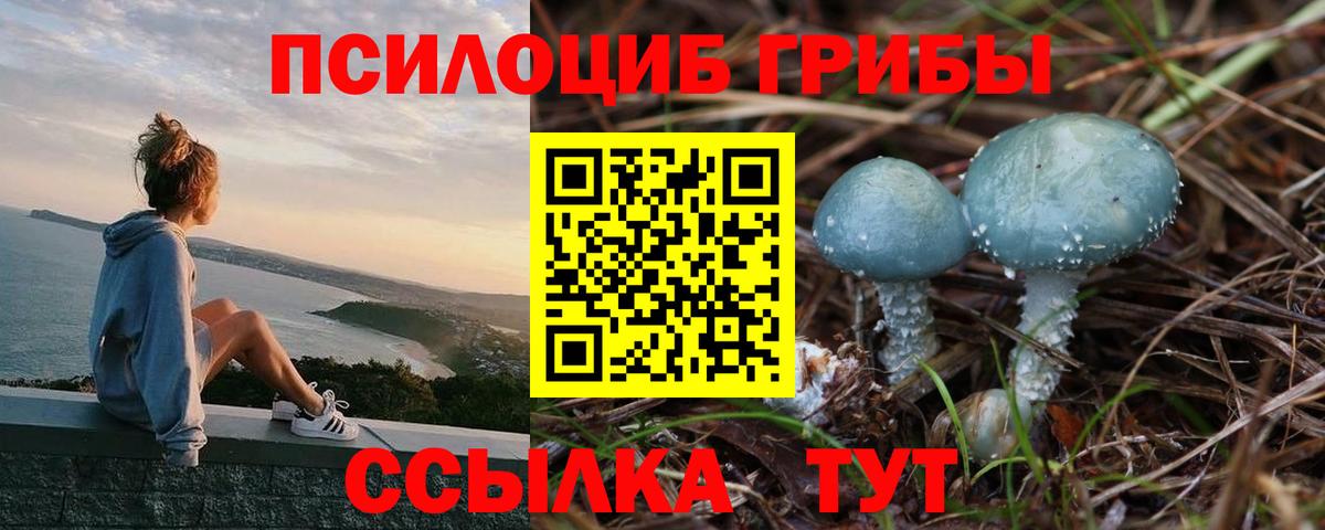 Отрадное  Псилоцибиновые грибы GOLDEN TEACHER  Вход с VPN 